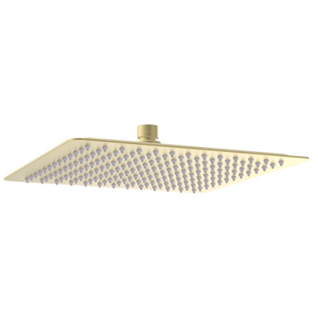 AJAX116266 Ajax Hedon Brushed Brass Thermostatic Shower Valve with Fixed Head and Handset Drench Head Design