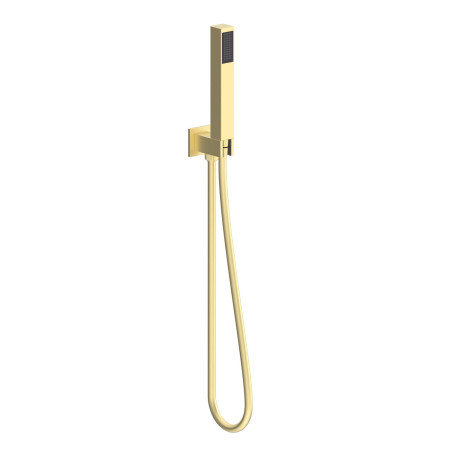 AJAX116266 Ajax Hedon Brushed Brass Thermostatic Shower Valve with Fixed Head and Handset Wall Outlet and Hose Design