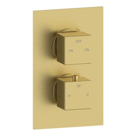 AJAX116266 Ajax Hedon Brushed Brass Thermostatic Shower Valve with Fixed Head and Handset Valve Design