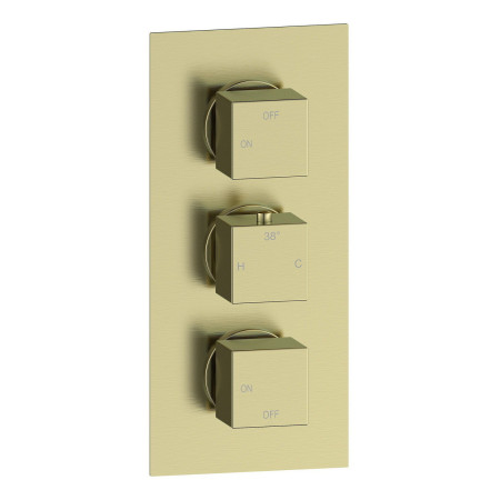 Ajax Hedon Brushed Brass Thermostatic Two Outlet Triple Concealed Shower Valve