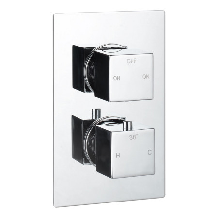 AJAX116262 Ajax Hedon Chrome Thermostatic Shower Valve with Fixed Head and Handset Two Outlet Valve Design