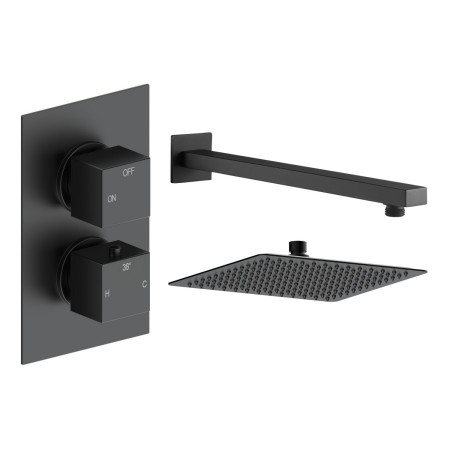 Ajax Hedon Matt Black Square Concealed Shower Valve with Fixed Head