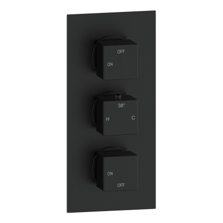 AJAX116263 Ajax Hedon Matt Black Square Concealed Two Outlet Shower Set Shower Valve