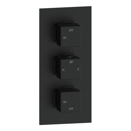 Ajax Hedon Matt Black Thermostatic Two Outlet Triple Concealed Shower Valve