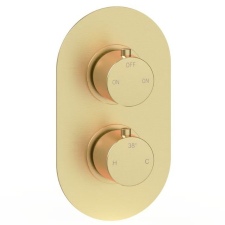 AJAX116248 Ajax Thrunscoe Brushed Brass Thermostatic Shower Valve with Fixed Head and Handset Valve Design