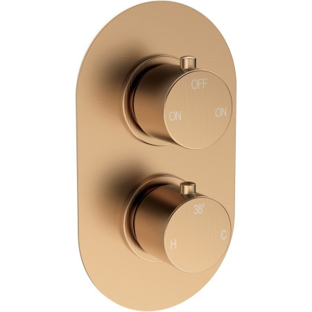 AJAX116250 Ajax Thrunscoe Brushed Bronze Thermostatic Shower Valve with Fixed Head and Handset Valve Design