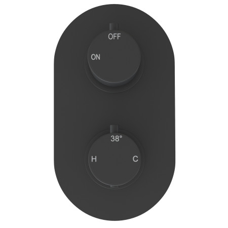AJAX116246 Ajax Thrunscoe Matt Black Thermostatic Shower Valve with Fixed Head and Handset Valve Design