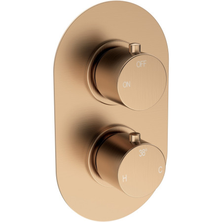 AJAX111582 Ajax Thrunscoe Round Shower Valve and Fixed Shower Head in Brushed Bronze Shower Valve Close Up