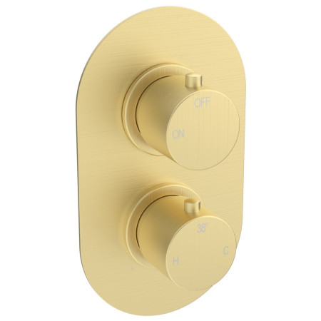 AJAX111585 Ajax Thrunscoe Round Shower Valve and Riser Kit in Brushed Brass Concealed Valve