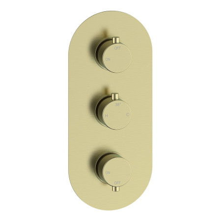AJAX116247 Ajax Thrunscoe Round Two Outlet Shower Set in Brushed Brass Shower Valve