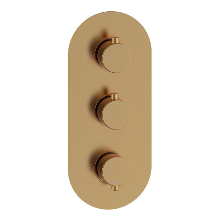 AJAX116249 Ajax Thrunscoe Round Two Outlet Shower Set in Brushed Bronze Shower Valve