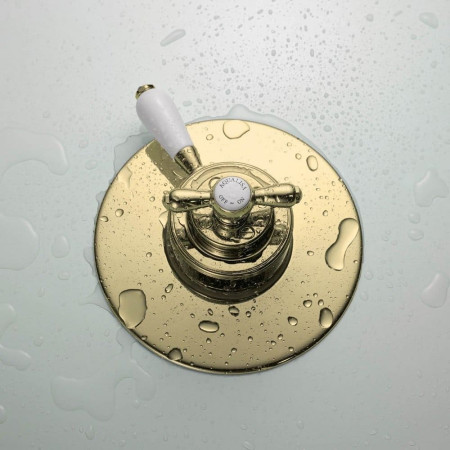 5000004 Aqualisa Aquatique Gold Thermo Concealed Shower Valve Lifestyle