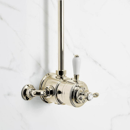 Aqualisa Aquatique Thermo Gold Exposed Shower Valve & Fixed 8 Inch Drencher Head Close Up