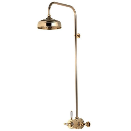 Aqualisa Aquatique Thermo Gold Exposed Shower Valve & Fixed 8 Inch Drencher Head