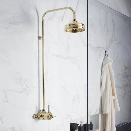 Aqualisa Aquatique Thermo Gold Exposed Shower Valve & Fixed 8 Inch Drencher Head Lifestyle