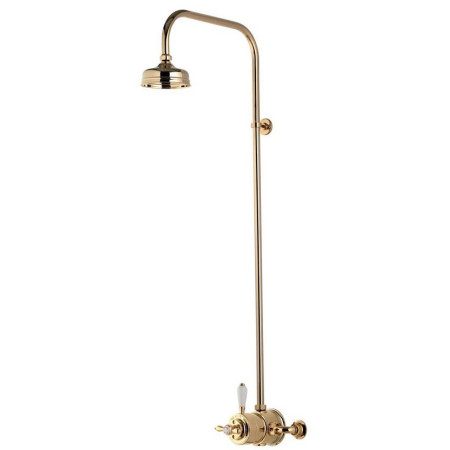 Aqualisa Aquatique Thermo Gold Exposed Shower Valve & Fixed  5 Inch Drencher Head