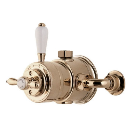 Aqualisa Aquatique Thermo Gold Exposed Shower Valve with Adjustable Shower Kit Valve Close Up