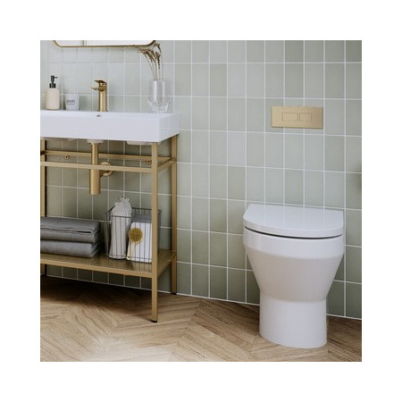 SHR.046 Britton Shoreditch Rounded Rimless Back To Wall WC Pan and Seat (3)