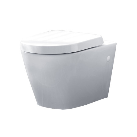 EC7025 Essential Ivy Wall Mounted WC Pan (1)