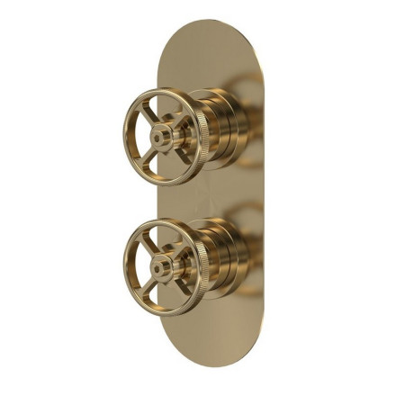 SIWTW802 Hudson Reed Revolution Industrial Twin Shower Valve with Diverter in Brushed Brass (1)