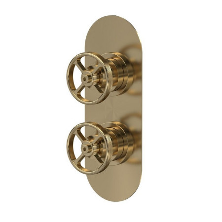 SIWTW801 Hudson Reed Revolution Industrial Twin Thermostatic Shower Valve in Brushed Brass (1)
