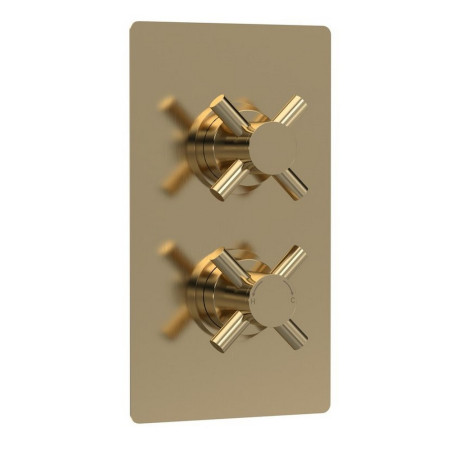 KRI8210 Hudson Reed Tec Crosshead Twin Thermostatic Shower Valve in Brushed Brass (1)