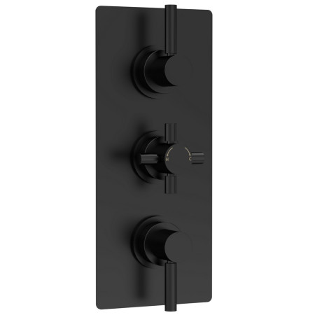 A4023 Hudson Reed Tec Triple Thermostatic Shower Valve with Diverter in Matt Black (1)
