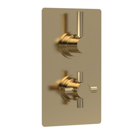 A8003V Hudson Reed Tec Twin Thermostatic Shower Valve in Brushed Brass (1)