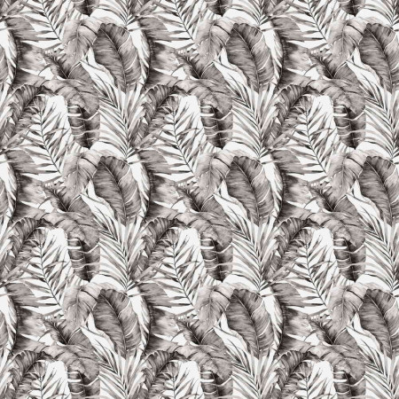 PM620 Kinewall Banana Trees Black & White 1000 x 2500mm Panel Swatch