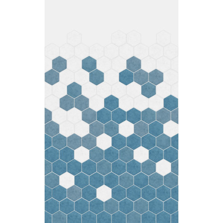 PM360 Kinewall Blue Monochrome Hexagon 1250 x 2500mm Panel Full Wall