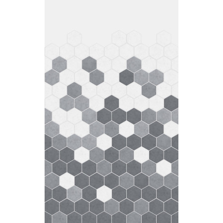 PM451 Kinewall Grey Monochrome Hexagon 1000 x 2500mm Panel Full Wall