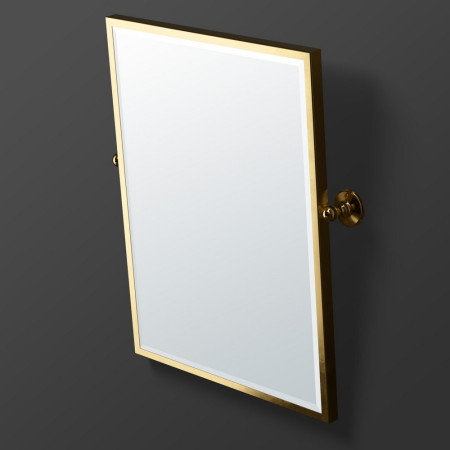 Miller Stockholm Polished Brass Swivel Mirror