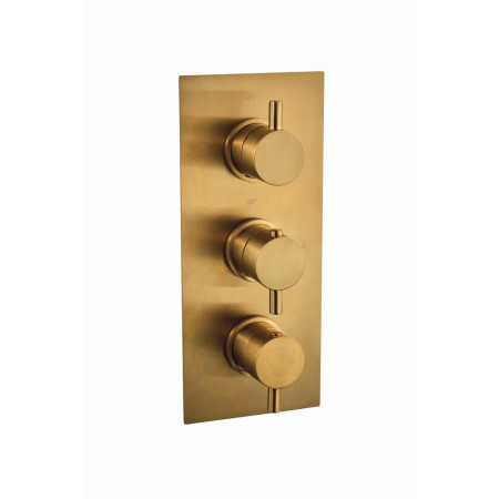 9131BRS Niagara Equate Round Triple Brushed Brass Concealed Shower Valve