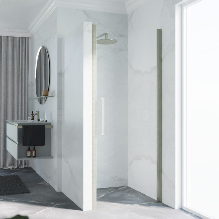 Novellini Young Plus 1B 900mm Inox Hinged Shower Door