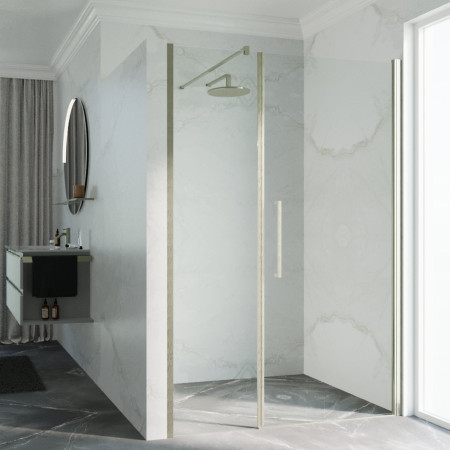 Novellini Young Plus G+F 1200mm Inox Hinged Shower Door and Inline Panel