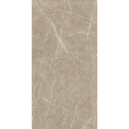 815721 Nuance Sand Lightning Fossil 580mm Feature Wall Panel Full Sheet