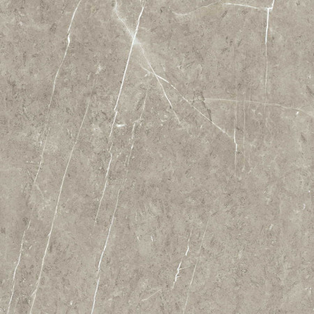 815721 Nuance Sand Lightning Fossil 580mm Feature Wall Panel Swatch