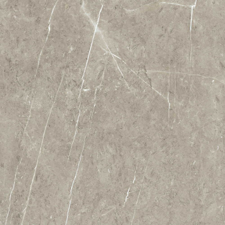 Nuance Sand Lightning Fossil 580mm Feature Wall Panel