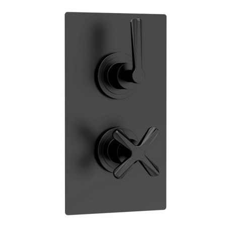 Nuie Aztec Twin Thermostatic Shower Valve in Matt Black