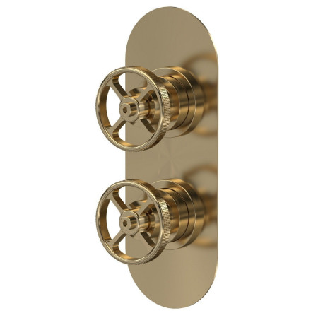 Nuie Revolution Industrial Twin Shower Valve with Diverter in Brushed Brass