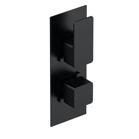 Nuie Windon Thermostatic Twin Valve with Diverter Black