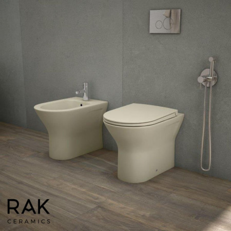 Rak Feeling Rimless Back to Wall Pan with Soft Close Seat in Matt Cappuccino Room Setting
