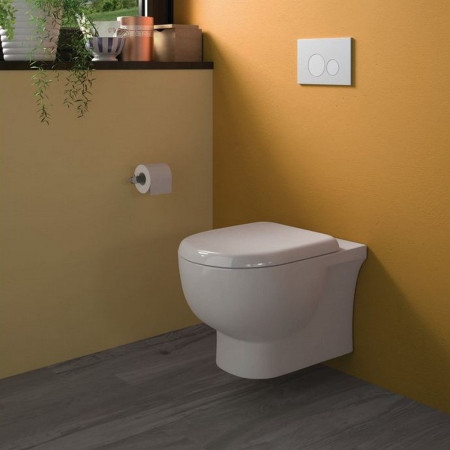 TONWHPAN Rak Tonique Wall-Hung Rimless WC (2)