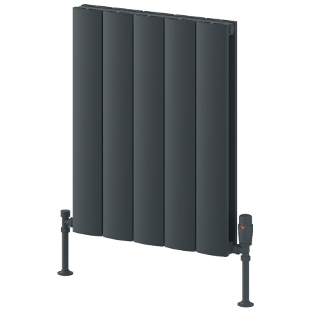 Reina Loco 600 x 470mm Horizontal Anthracite Double Aluminium Radiator
