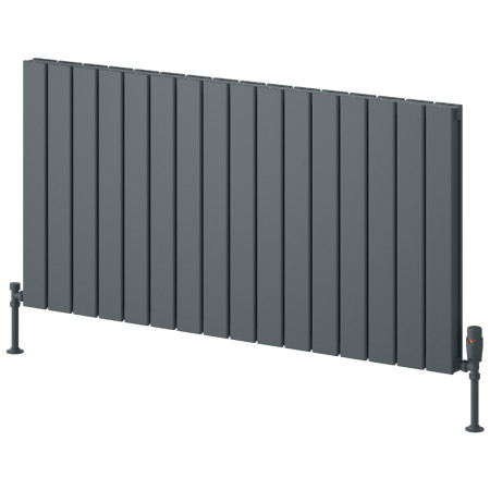 Reina Piatto 600 x 1195mm Anthracite Horizontal Aluminium Double Radiator