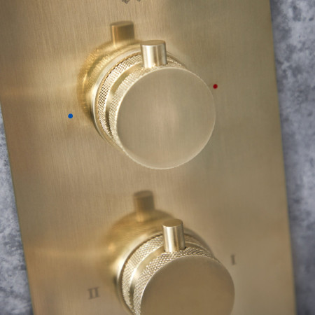 Scudo Concealed One Outlet Shower Valve with Brushed Brass Plate Lifestyle