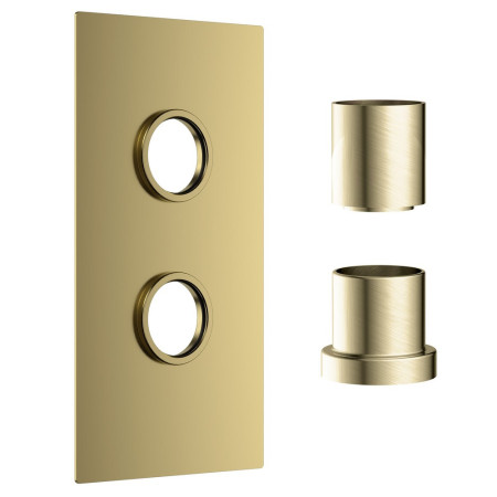 Scudo Concealed One Outlet Shower Valve with Brushed Brass Plate