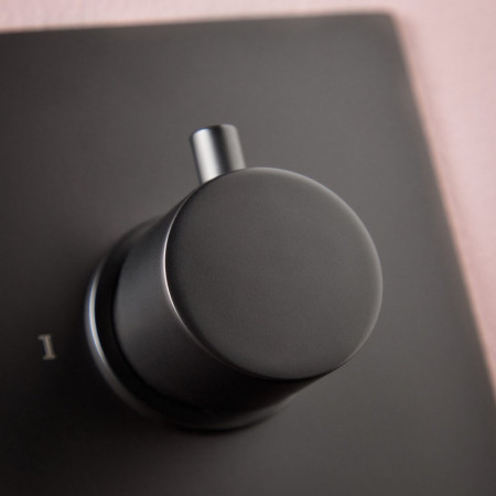 Scudo Concealed One Outlet Shower Valve with Matt Black Plate Installed Smooth Handles