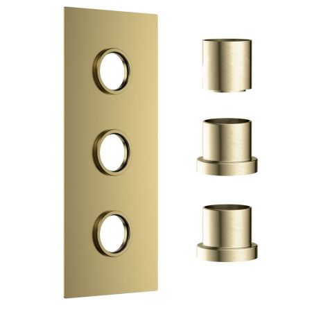 Scudo Concealed Three Outlet Shower Valve with Brushed Brass Plate