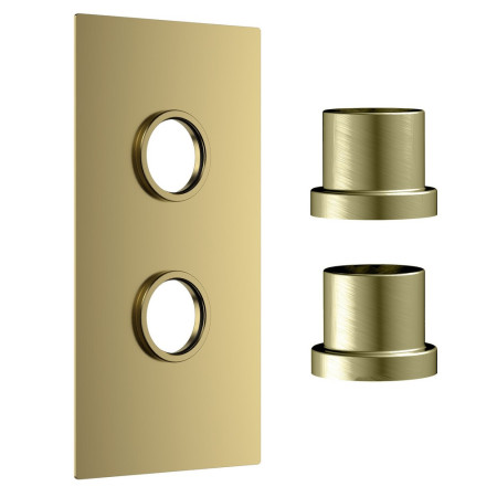 Scudo Concealed Two Outlet Shower Valve with Brushed Brass Plate